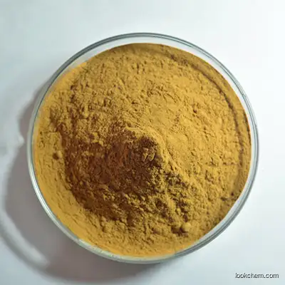 Natural Orange Dunaliella Salina Algae Extract 1% Carotene Powder