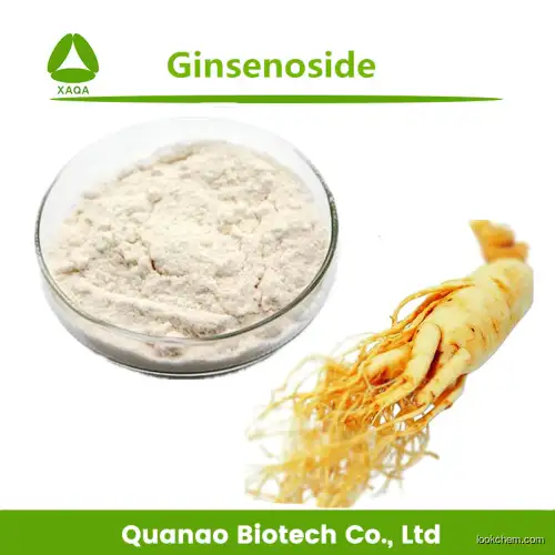 Top Panax Ginseng root Extract Ginsenoside 10% Powder