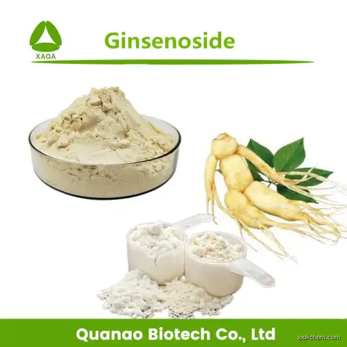 Factory supply Panax Ginseng root Extract Ginsenoside 80% Powder