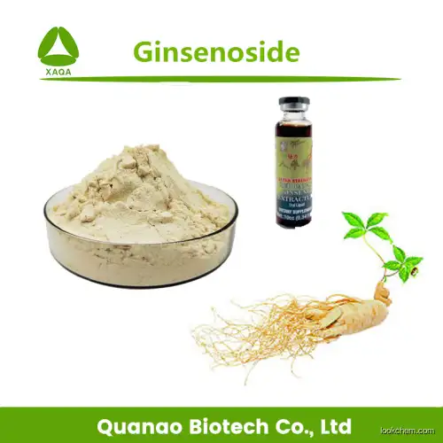 Top Panax Ginseng root Extract Ginsenoside 10% Powder