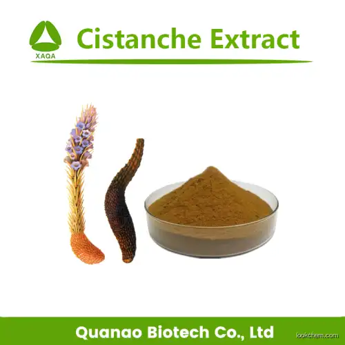 Hot Sale Product Cistanche Extract Echinacoside 15% Powder