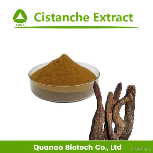 Hot Sale Product Cistanche Extract Echinacoside 15% Powder
