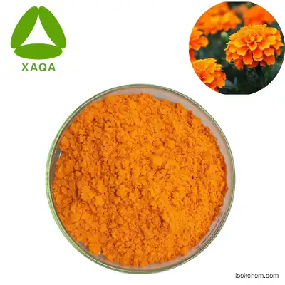 high quality Eyesight Protection Marigold Flower Extract Powder Zeaxanthin 10%