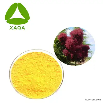 Top Quality 100% Pure Natural Smoke Tree Extract powder Fisetin 98% Powder best price