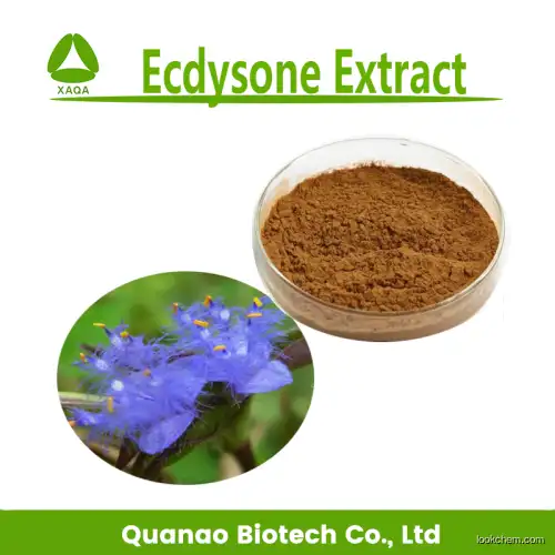 natural Ecdysone Extract 40% 50% with Ecdysterone powder bulk price
