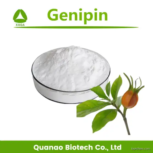 High Quality Gardenia Furit Extract Genipin 98%