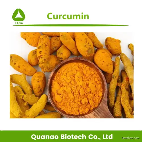 Bulk Price Curcumin 95%  Turmeric root extract powder