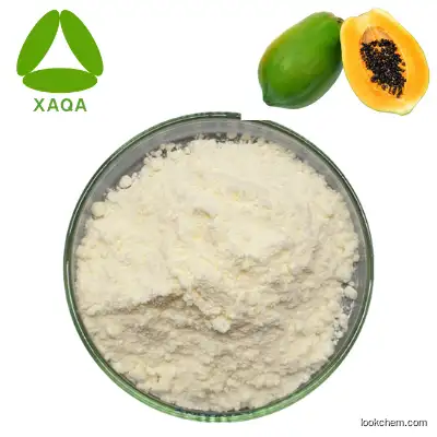 Natural Plant Papaya Enzyme Papain Papaya Extract/ papain Digestive enzymes