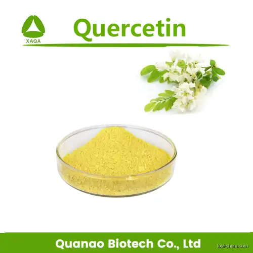 Sophora Japonica extract Quercetin 98% powder
