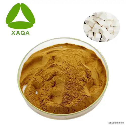 New product 100% pure natural Poria Cocos Extract powder Polysaccharide 10%-50% price