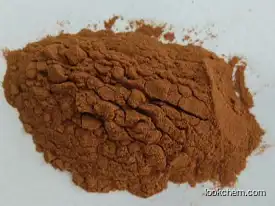 Factory supply High quality Hot Selling Sexual Product pure Pygeum Extract powder 10:1