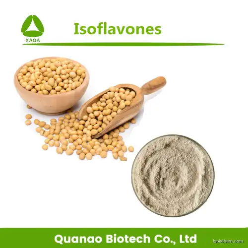 Soybean Extract powder 40%-98% Soy Isoflavone