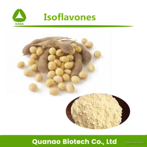Soybean Extract powder 40%-98% Soy Isoflavone