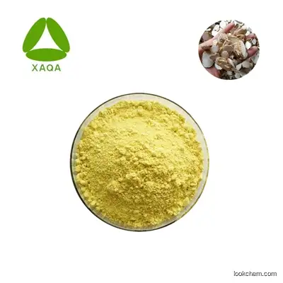 Manufacturer Directly Supply High Quality Kaempferia Galanga Extract Kaempferol 98% Powder