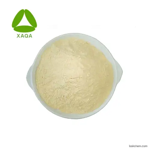 100% Pure Natural Sophora Japonia Extract Rutin nf11 Powder