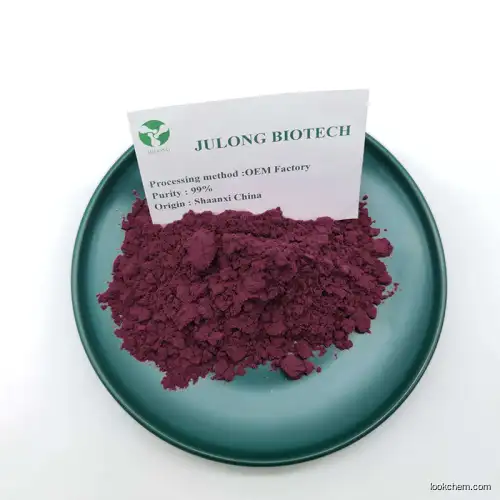 High quality low price pure natural elderberry extract powder