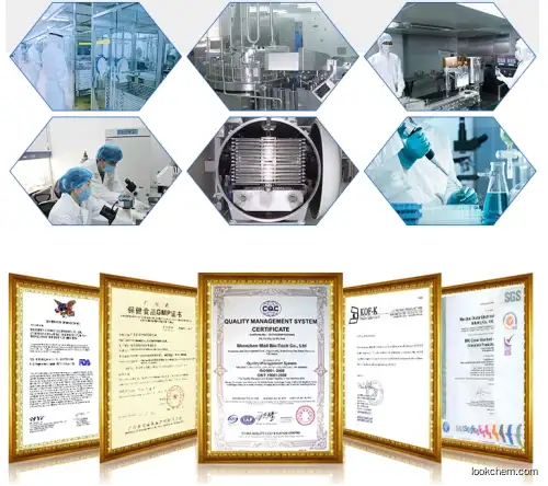 Top Quality Best Price L fucose /L-fucose