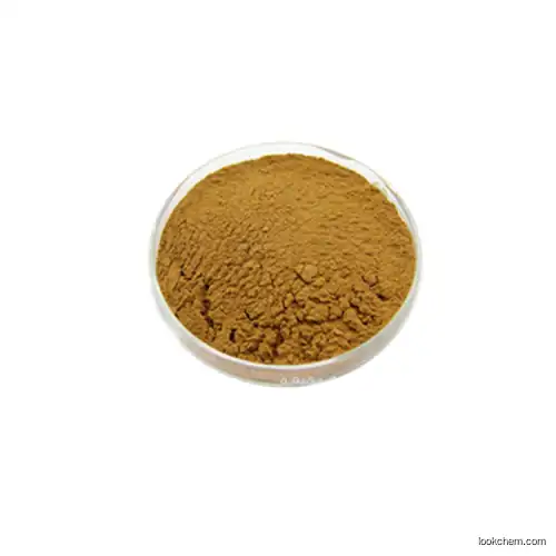 High Quality of Horny Goat Weed extract seed powder