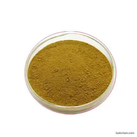 High Quality of Horny Goat Weed extract seed powder