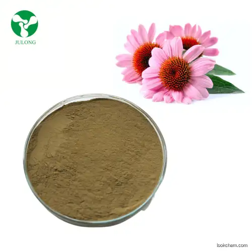 High Quality Echinacea Purpurea Extract Powder Polyphenols