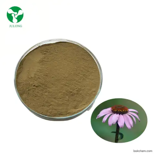 High Quality Echinacea Purpurea Extract Powder Polyphenols