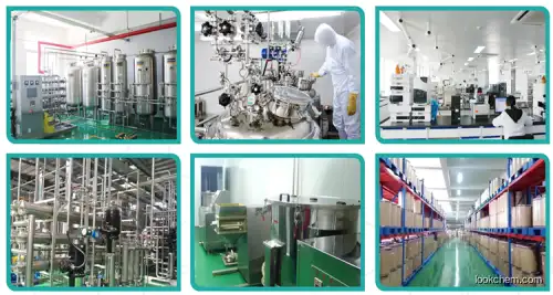 GMP Factory Supply High Quality Raw Material Altrenogest 99% cas 850-52-2