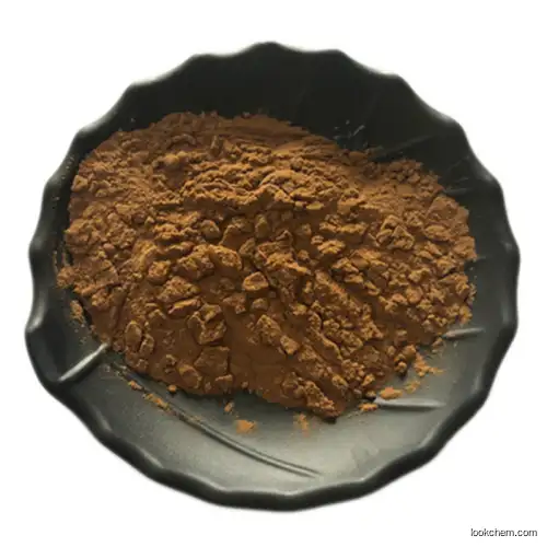 20% Natural Coleus Forskohlii Extract Forskohlii Powder