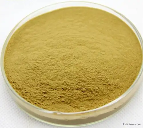 Manufacturer Supply 100% Pure Panax Ginseng Extract Ginsenoside 80% powder