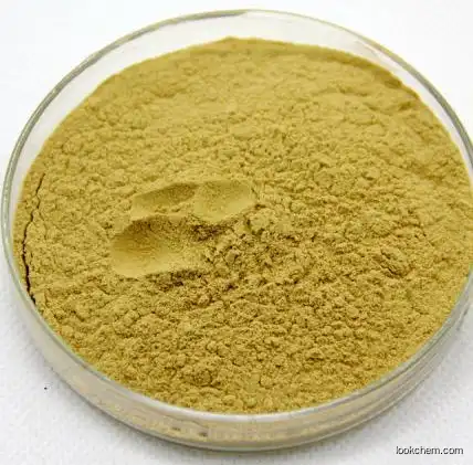 Manufacturer Supply 100% Pure Panax Ginseng Extract Ginsenoside 80% powder