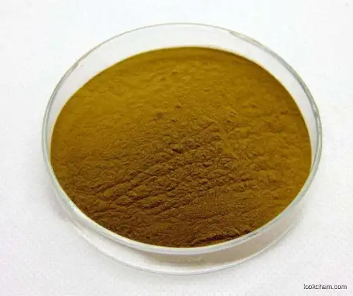 China Factory Supply raw material Natural Artichoke leaf Extract powder 5% cynarin