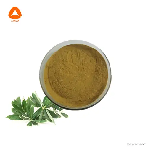 Nautral Vegan 100% pure Olive leaf extract Hydroxytyrosol Powder