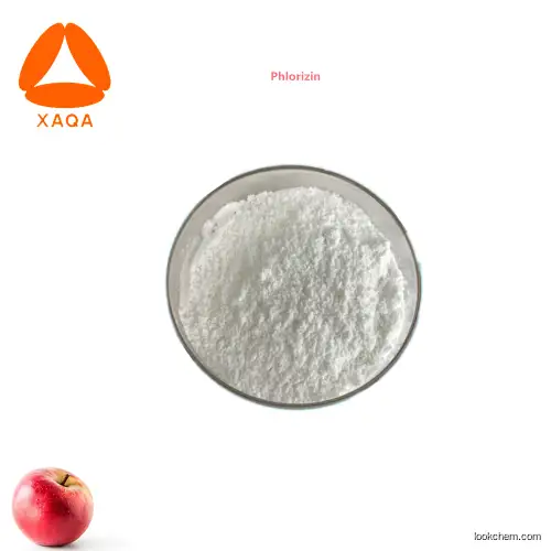 Skin whitening anti-oxidant raw material natural apple peel / root extract Phlorizin 90% powder