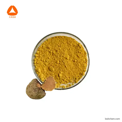 Anti-Oxidant API Raw material Vegan Natural Fustic Extract Morin Powder