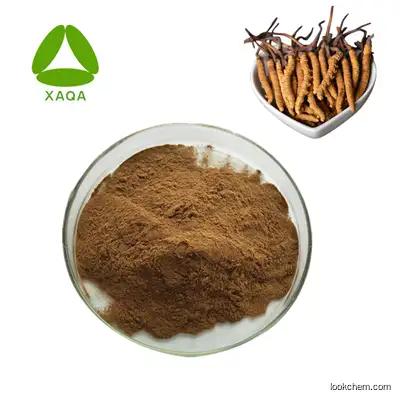 100% Water Soluble Pure Natural Wild Cordyceps Sinensis Extract Powder 10:1