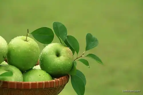 Apple Extract Powder Apple Polyphenol Natural Apple Extract, Apple Extract Powder, Apple Polyphenols CAS NO.7061-54-3