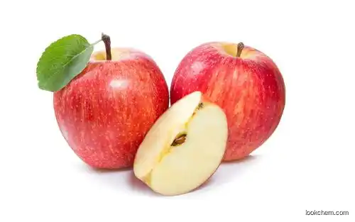 Apple Extract Powder Apple Polyphenol Natural Apple Extract, Apple Extract Powder, Apple Polyphenols CAS NO.7061-54-3