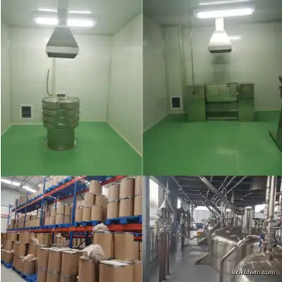 Factory Supply High Quality 99% Pure CAS 1191237-69-0 GS441524