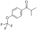 2-Methyl-1[4-(trifluoromethoxy)phenyl] propan-1-one
