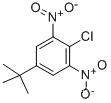 2-Chloro-5-(1,1-dimethylethyl)-1,3-dinitrobenzene