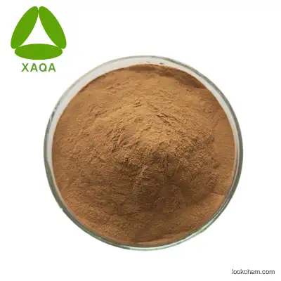 High Quality 24% Flavone 6% Lactone Natural Ginkgo Biloba Extract 10:1Powder