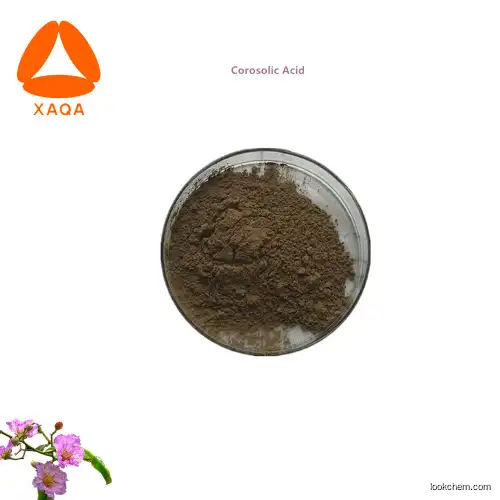 New Product Banaba Leaf Extract Corosolic Acid Powder With Comepatitive Price