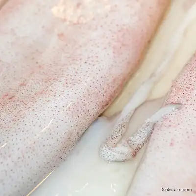 Native Marine Squid Collagen