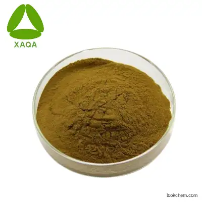 Natural organic Olive Leaf Extract hydroxytyrosol in bulk 98% oleuropein Powder