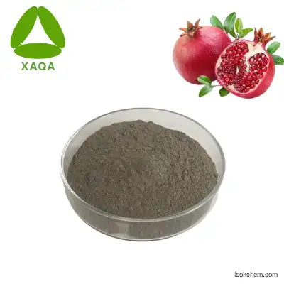 Natural Organic Plant Extract Flaxseed Powder / Flax Seed Extract Powder