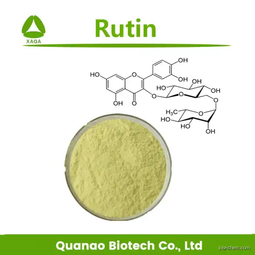 High Quality Sophora Japonica Extract Rutin NF11 95% UV