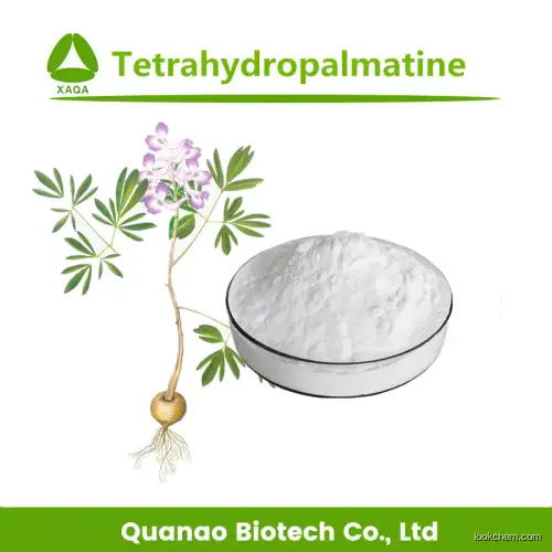Pharmaceutical Stephania Epigaea Extract Tetrahydropalmatine Powder 98%