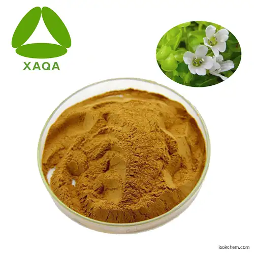 Hot selling 100% pure natural Bacopa Monnieri brahmi Extract powder Bacoside price