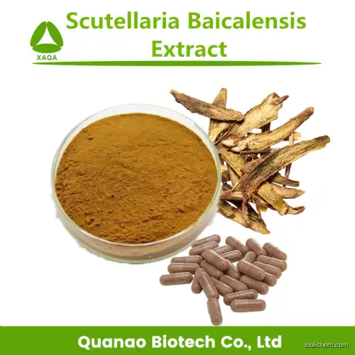 Scutellaria Baicalensis Root Extract 10:1 Powder With Baicalin