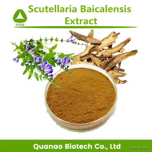 Scutellaria Baicalensis Root Extract 10:1 Powder With Baicalin