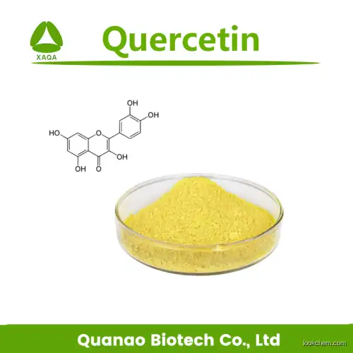 High Quality Sophora Japonica Extract Quercetin 98% Powder UV